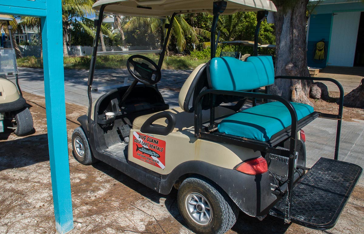 Golf cart