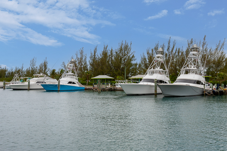 Riding Rock Marina on San Salvador