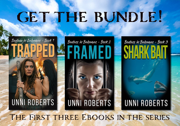 Bundle of Ebooks